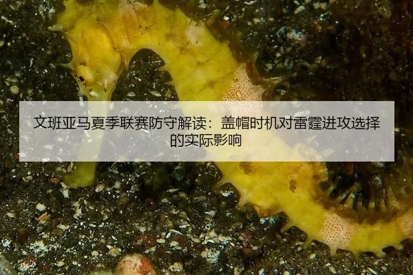 wen-ban-ya-ma-xia-ji-lian-sai-fang-shou-jie-du-gai-mao-shi-ji-dui-lei-ting-jin-gong-xuan-ze-de-shi-ji-ying-xiang-2-265.jpg